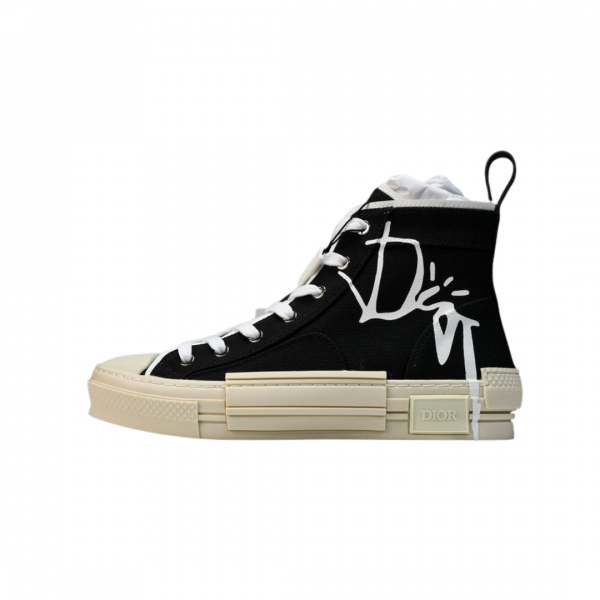 Dior B23 Cactus Jack